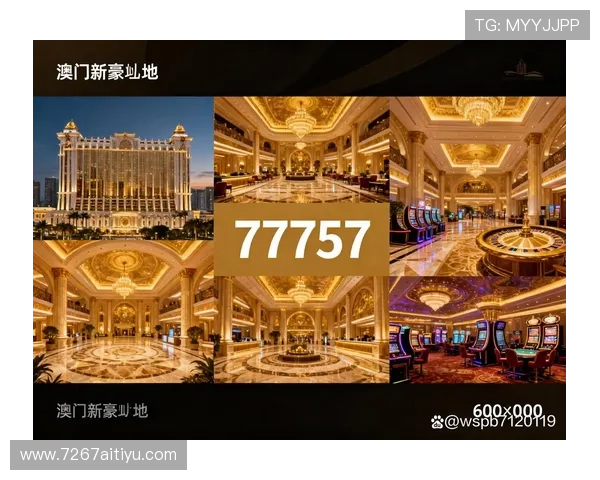 揭秘澳门新豪天地背后的投资者与运营团队