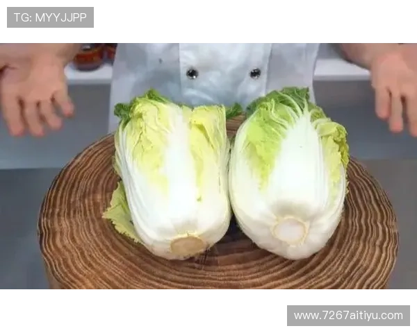 白菜咨询论坛：分享实用技巧与经验交流的平台